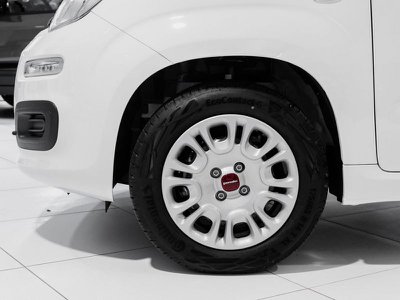 FIAT Panda 1.3 MJT 95 CV S&S Easy (rif. 16537823), Anno 2018 - huvudbild