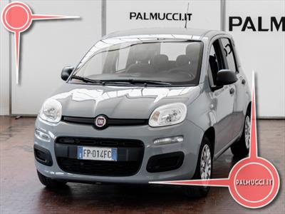Fiat Panda Easy 1.2 31/12/2019 Km 0, Anno 2019 - huvudbild