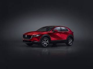 Mazda Mx 30 Exceed 145 Hp Automatica Electric, Anno 2022, KM 450 - huvudbild